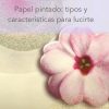 flor papel pintado destacada